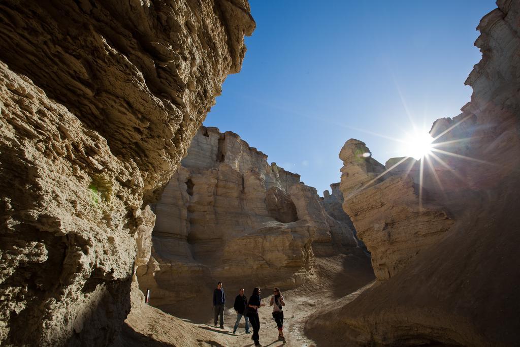 Belfer'S Dead Sea Cabins Neot HaKikar Екстериор снимка